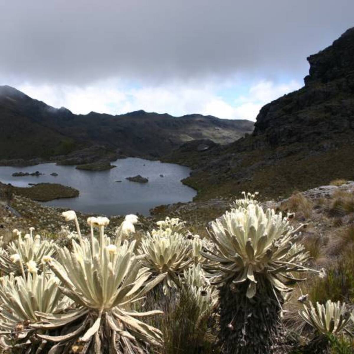 Piden verificar presunto desacato por MinAmbiente sobre delimitación del páramo Santurbán