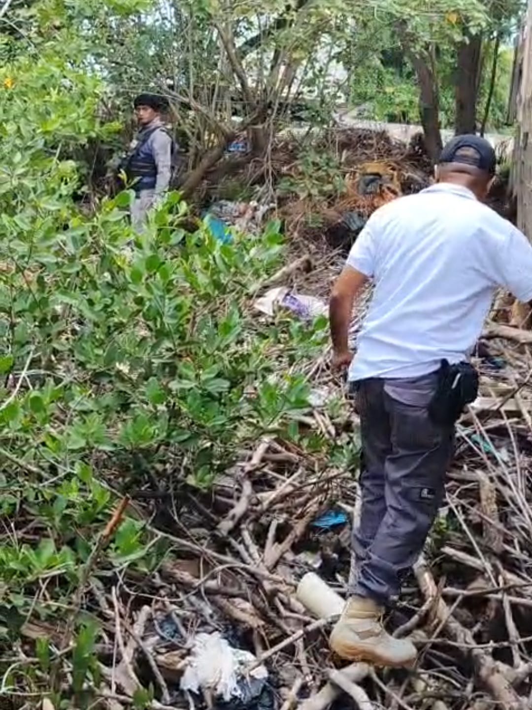 Guardia Ambiental