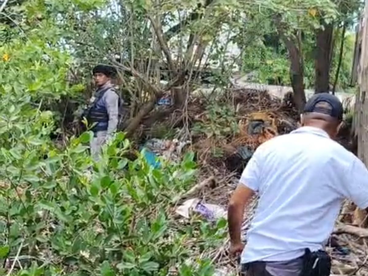 Autoridades ambientales intervienen invasión y tala de manglar en La Boquilla