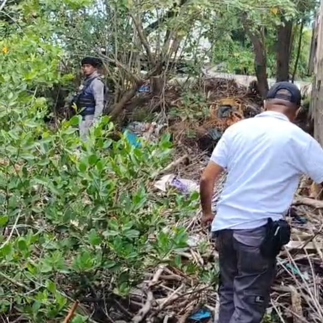 Guardia Ambiental