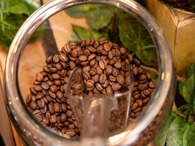 Alerta sobre exportaciones de cacao