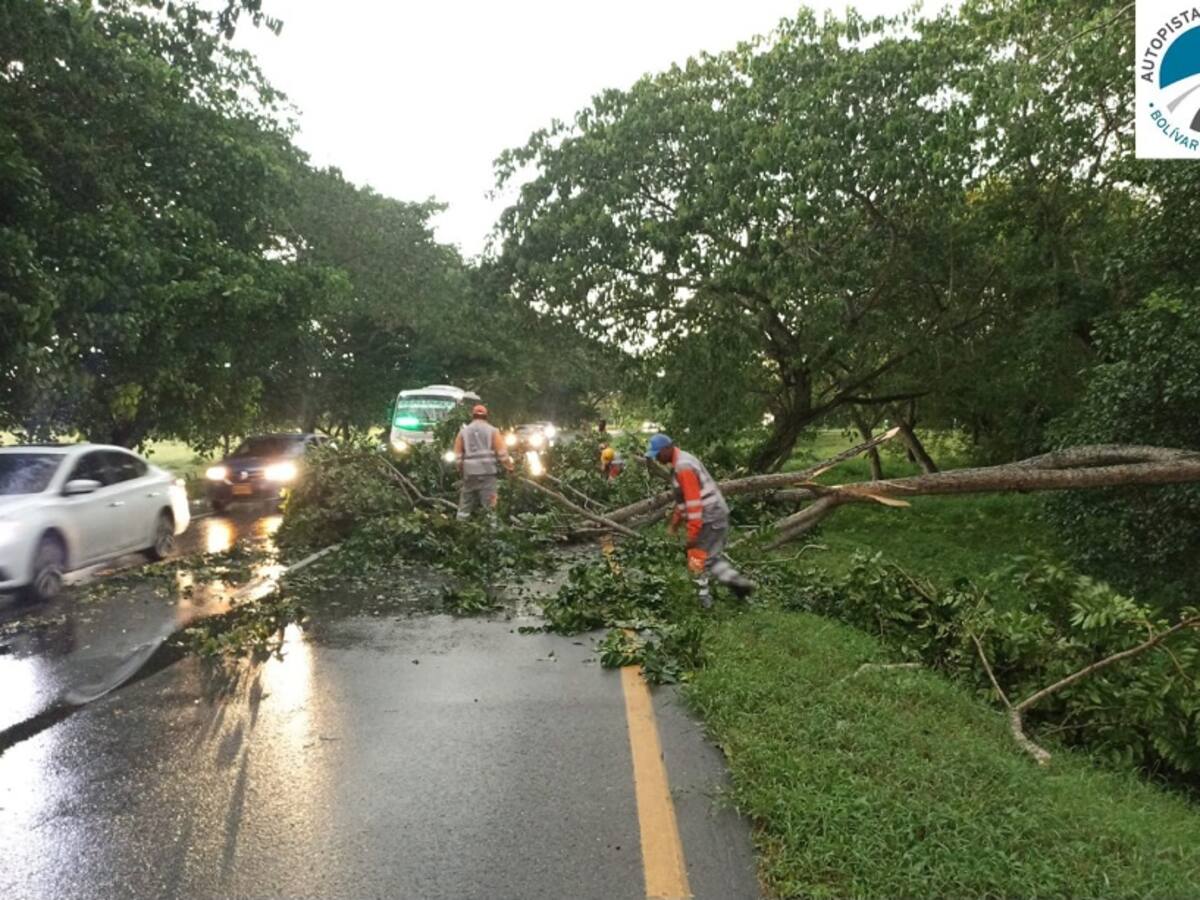 Autopistas del Caribe atendió 22 afectaciones en la vía La Cordialidad