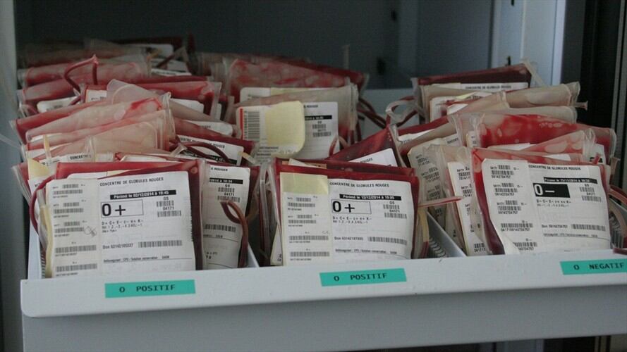 Procuraduría investiga a exgobernador de Bolívar por atención a pacientes hemofílicos. Foto: Pixabay
