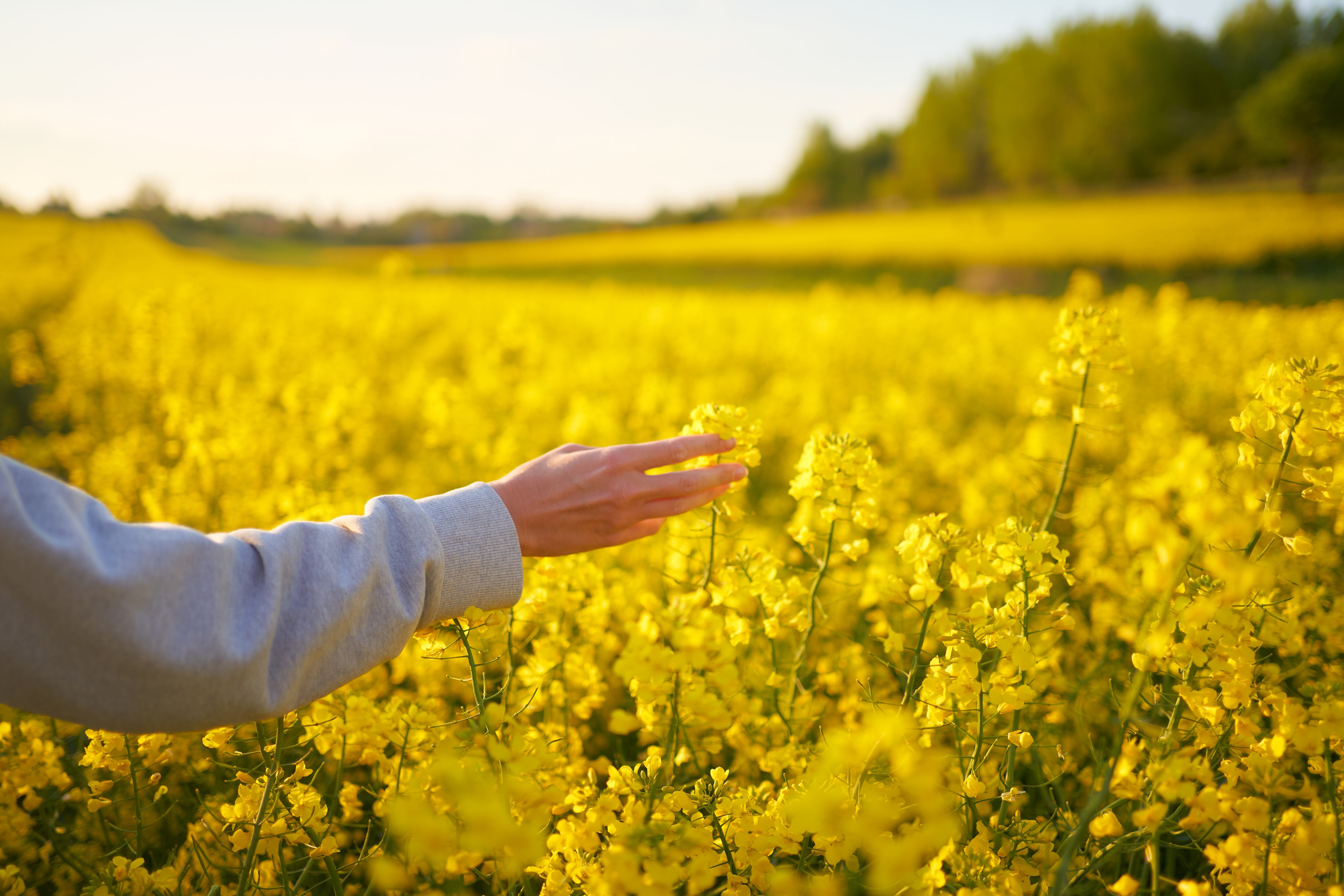 Imagen de referencia vía Getty Images.