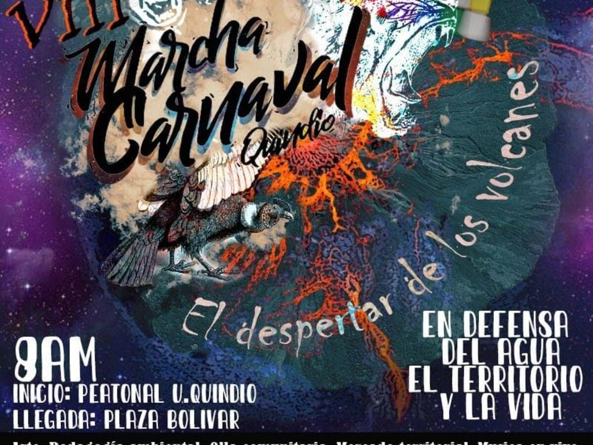 El despertar de los volcanes, VIII Marcha Carnaval, Quindío en Armenia.