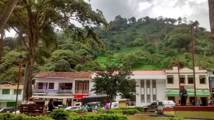 En Génova, Quindío se implementa el pico y género