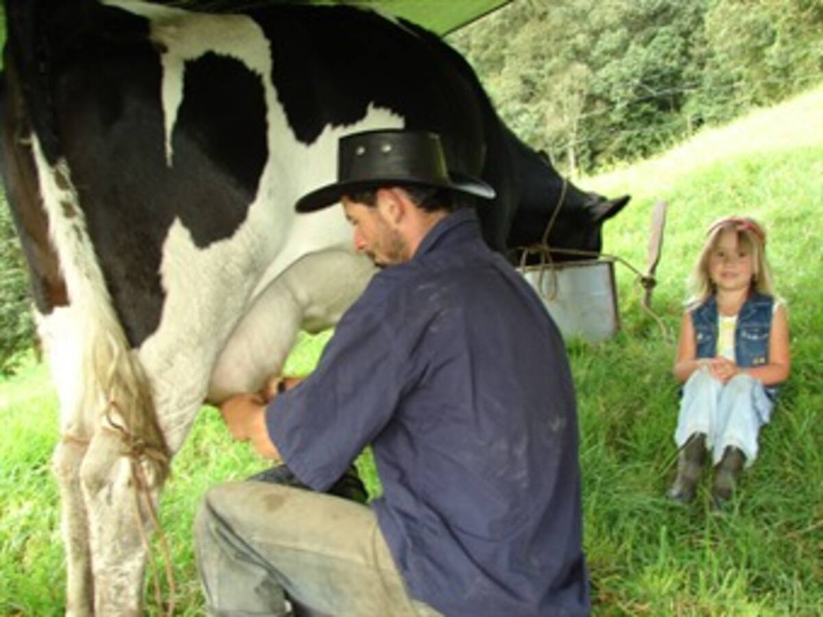 El sector ganadero de La Guajira contará con nuevos recursos