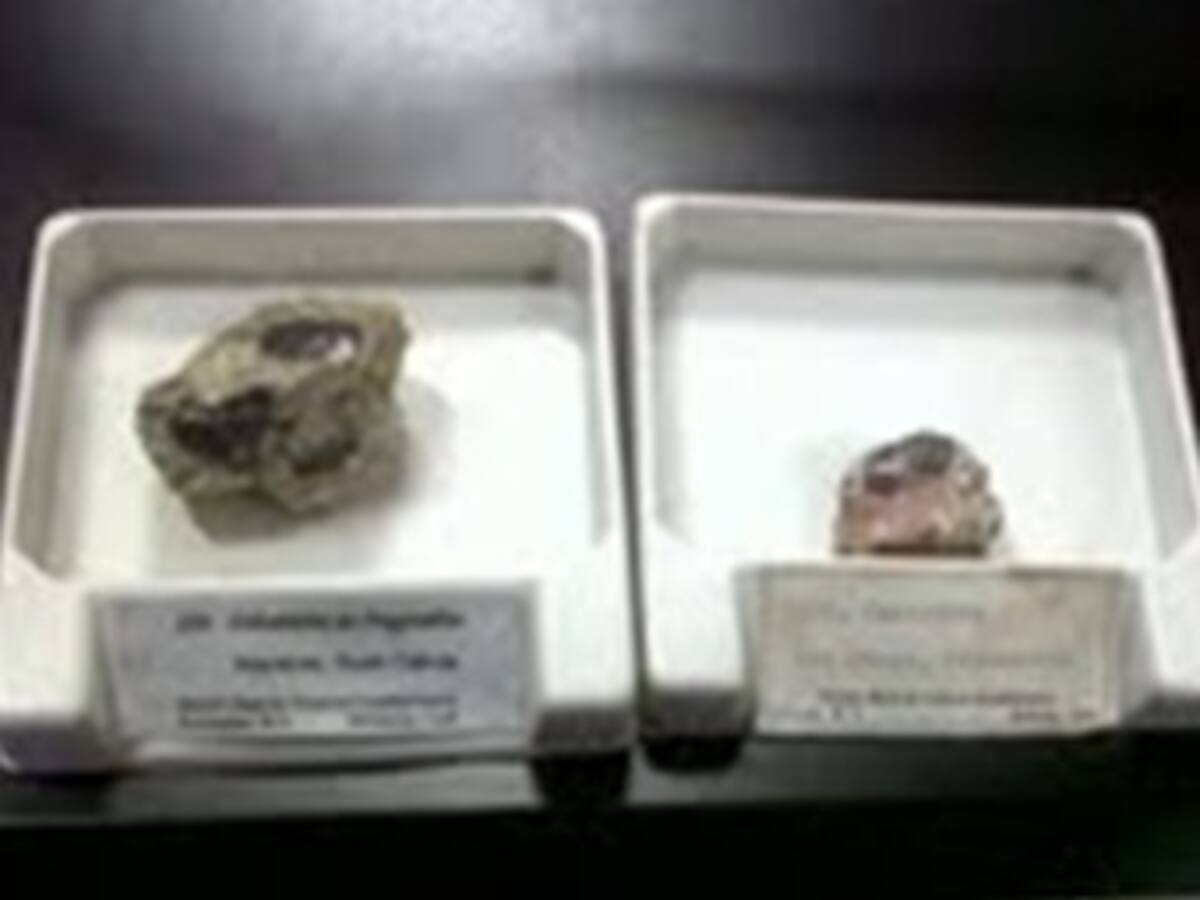 Ingeominas prepara licitación para otorgar licencias de explotación “legal y responsable de Coltan”