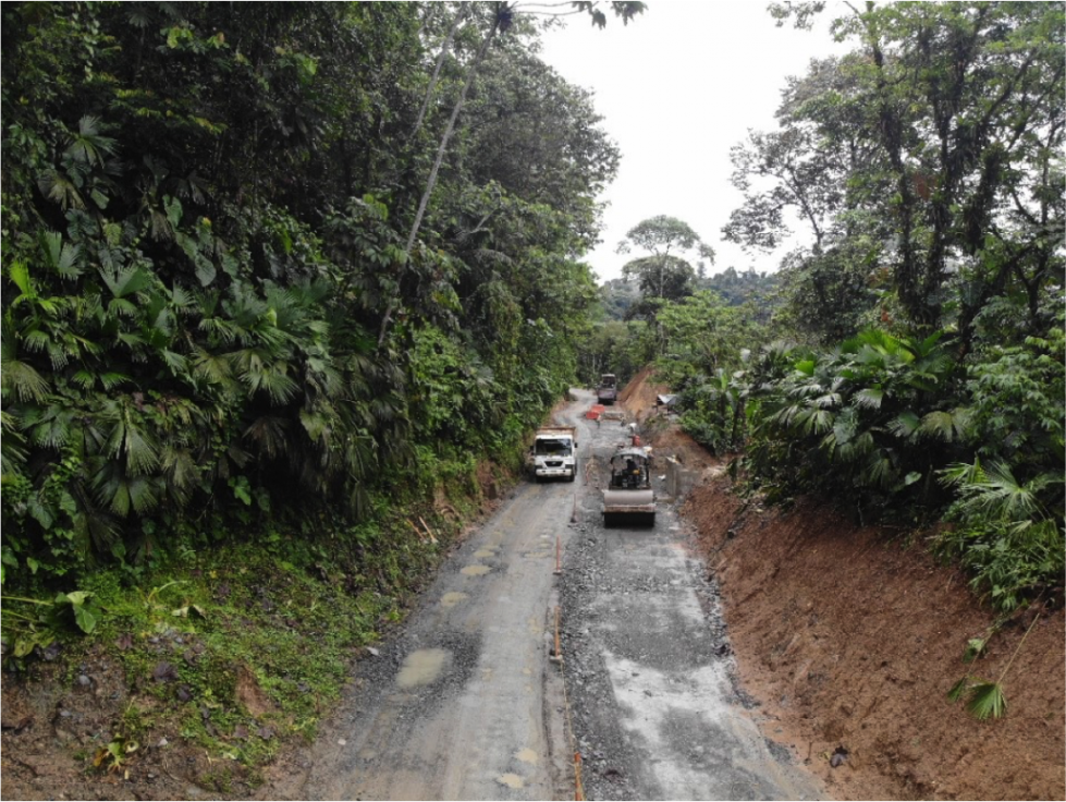 Foto: Policía de Risaralda.