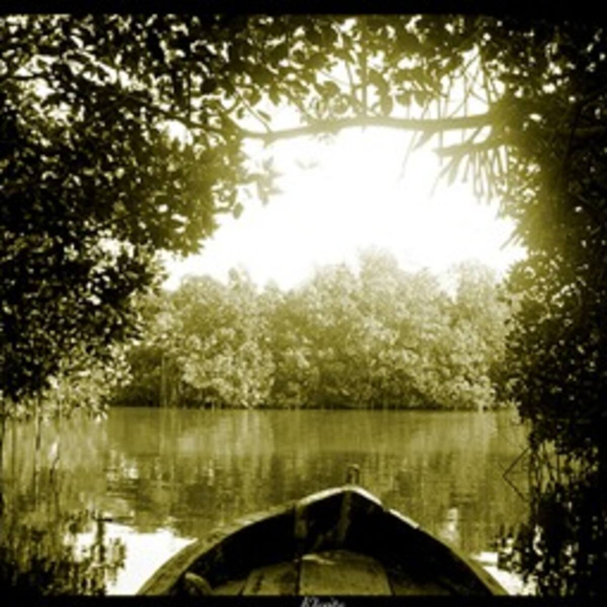 Estudiantes tienen nueva herramienta para preservar los manglares en Cartagena