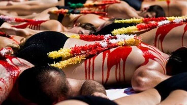 El futuro de la fiesta brava en Colombia