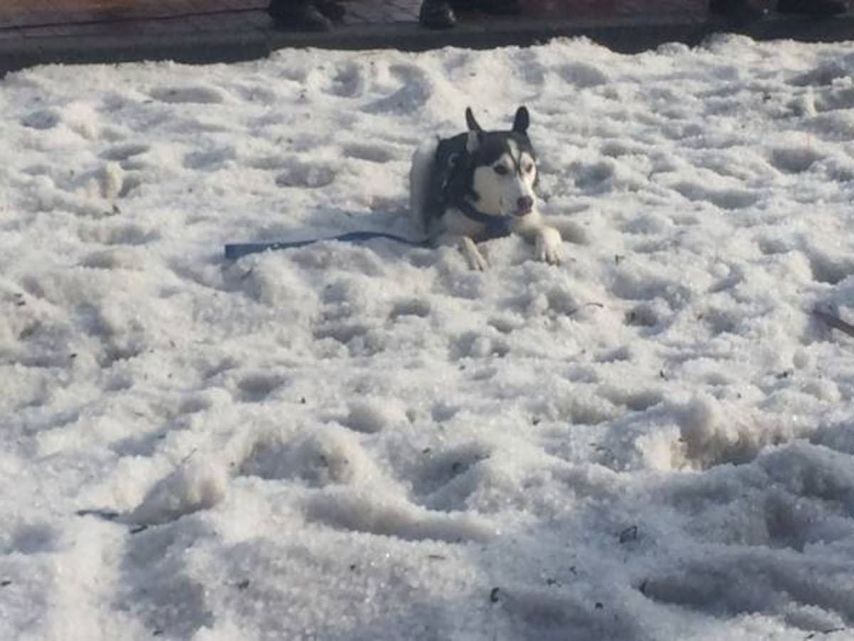 Granizo en Bogotá, para algunos alegrías y para otros tristezas