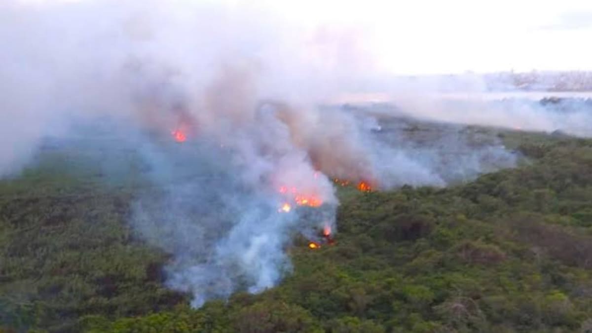 Refuerzan vigilancia contra incendios forestales en la Ciénaga Grande y Salamanca