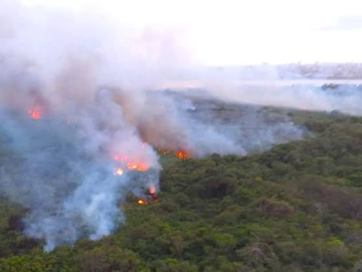 Refuerzan vigilancia contra incendios forestales en la Ciénaga Grande y Salamanca