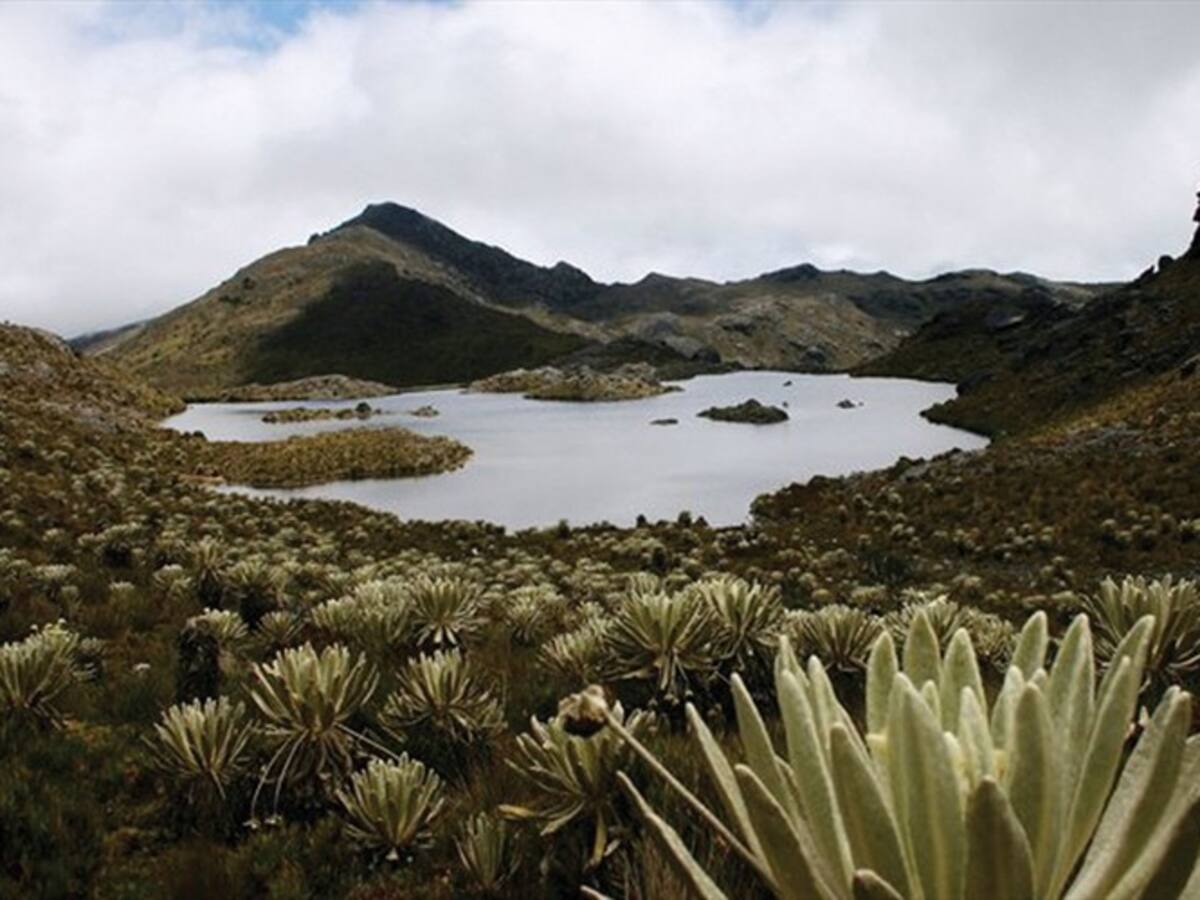 En Norte de Santander celebran decisión de la Corte alrededor del páramo de Santaturbán