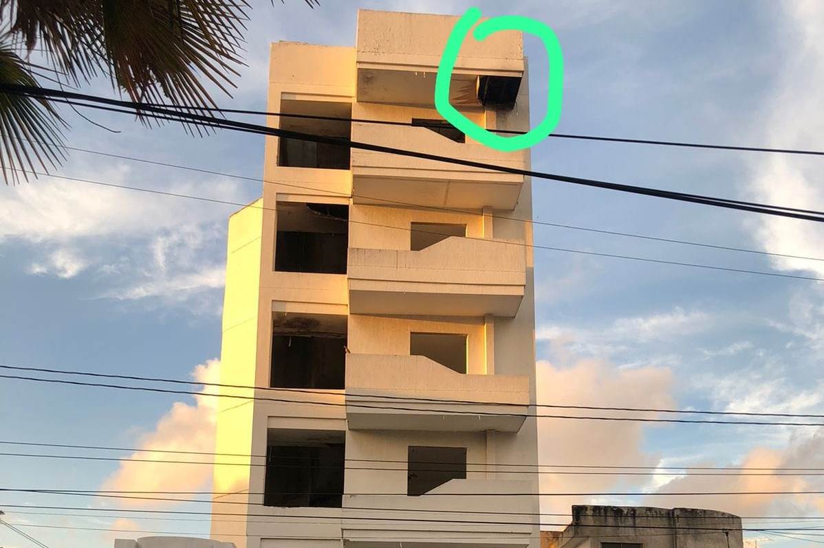 Pánico en Los Caracoles por enjambre de abejas: hay dos hospitalizados y un perro muerto