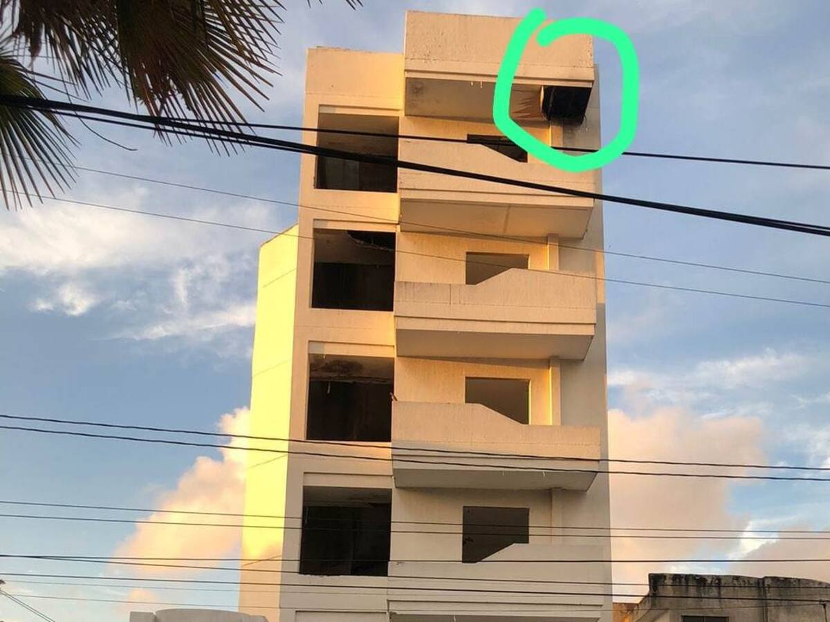 Pánico en Los Caracoles por enjambre de abejas: hay dos hospitalizados y un perro muerto