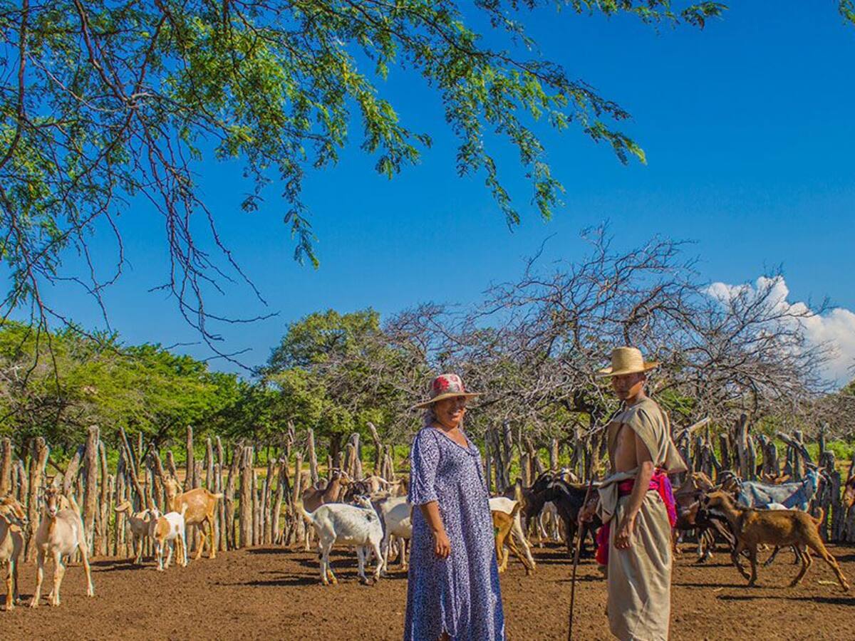 Fundación Alpina impulsó sistemas de riego sostenibles en Alta Guajira