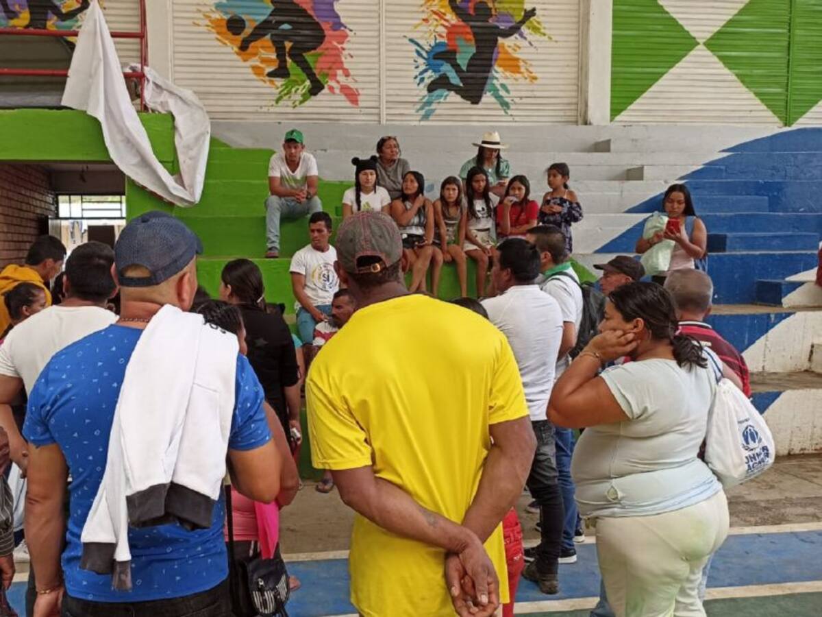 Personero de Argelia: se recrudece conflicto armado en Cauca