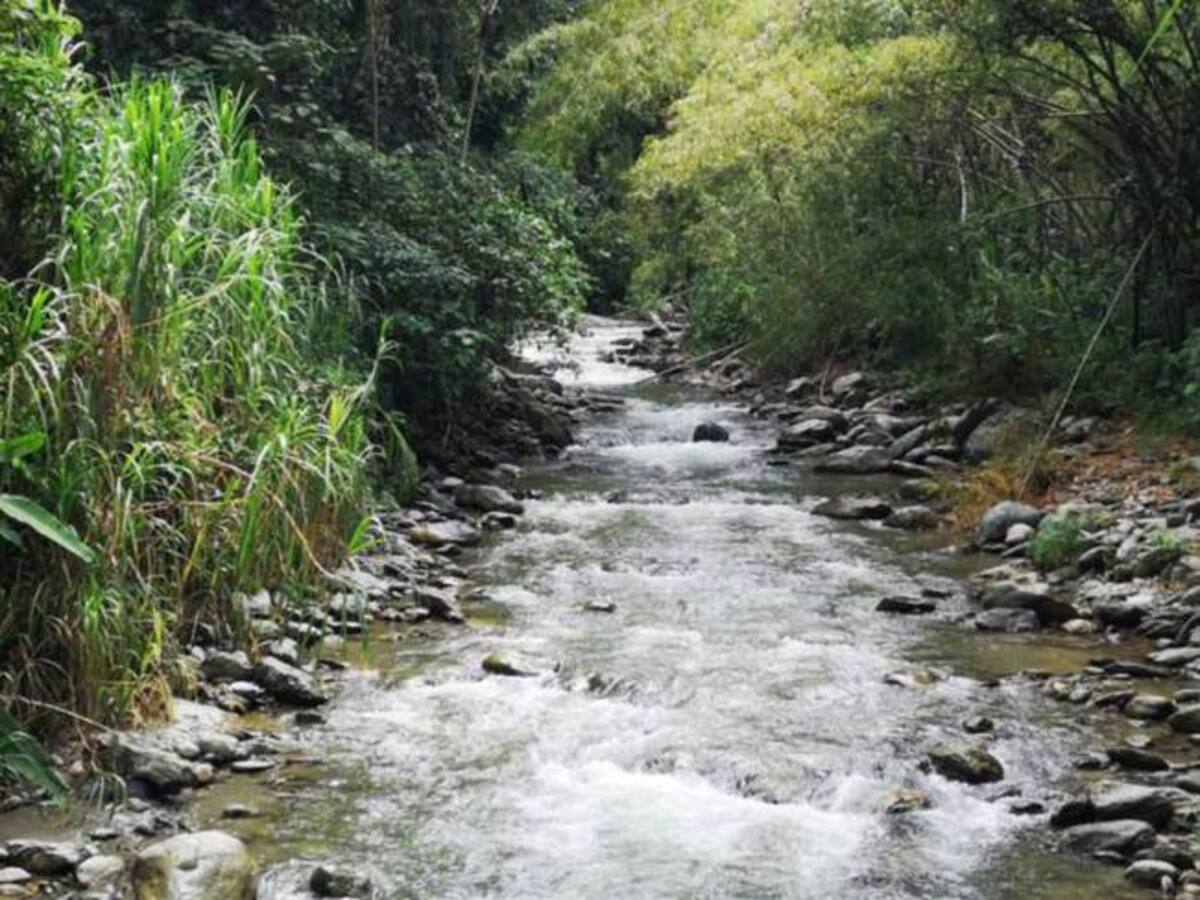 Más del 95% de fuentes abastecedoras de agua en Quindío en riesgo por fenómeno de El Niño