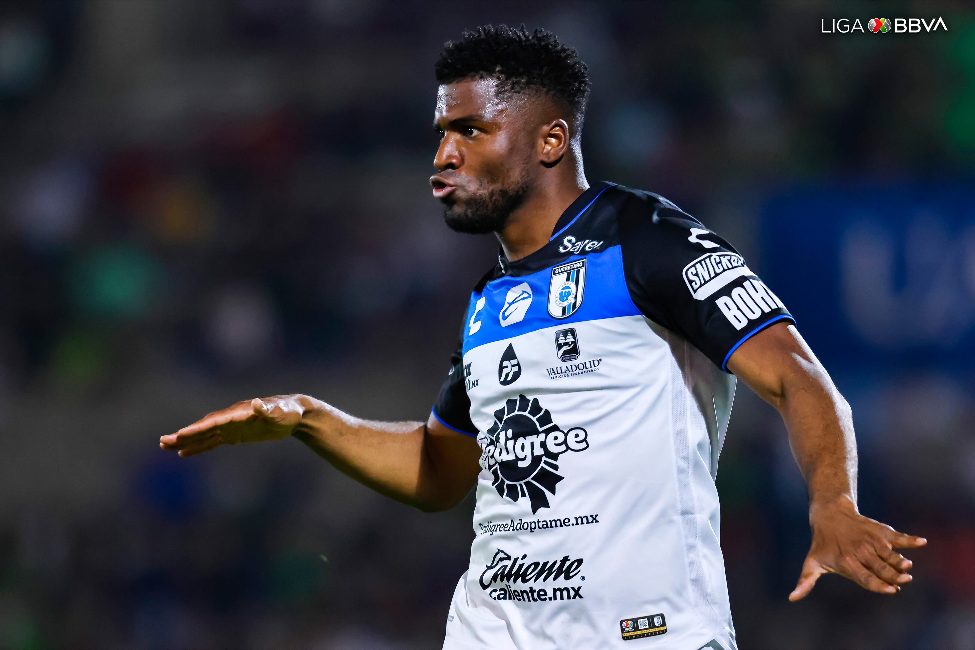 José Raúl Zuñiga, delantero colombiano del Querétaro / Twitter: @LigaBBVAMX.