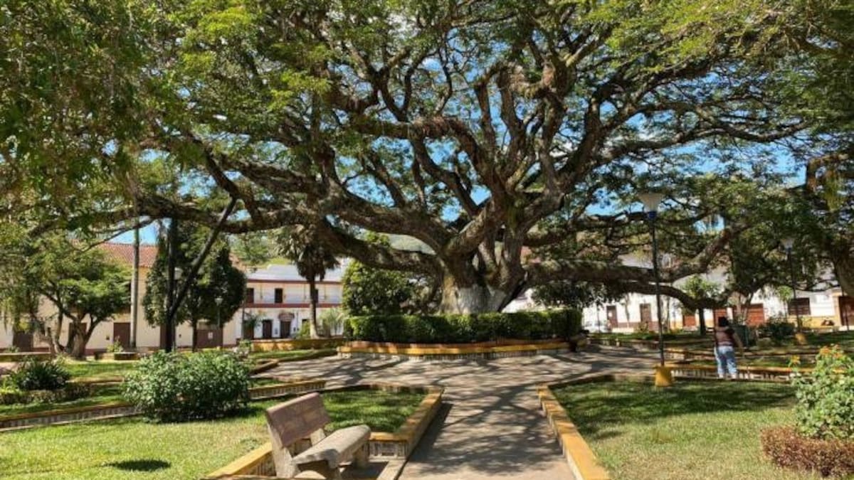 Fueron capturados los hombres señalados de secuestrar y asesinar a mujer en Charalá, Santander