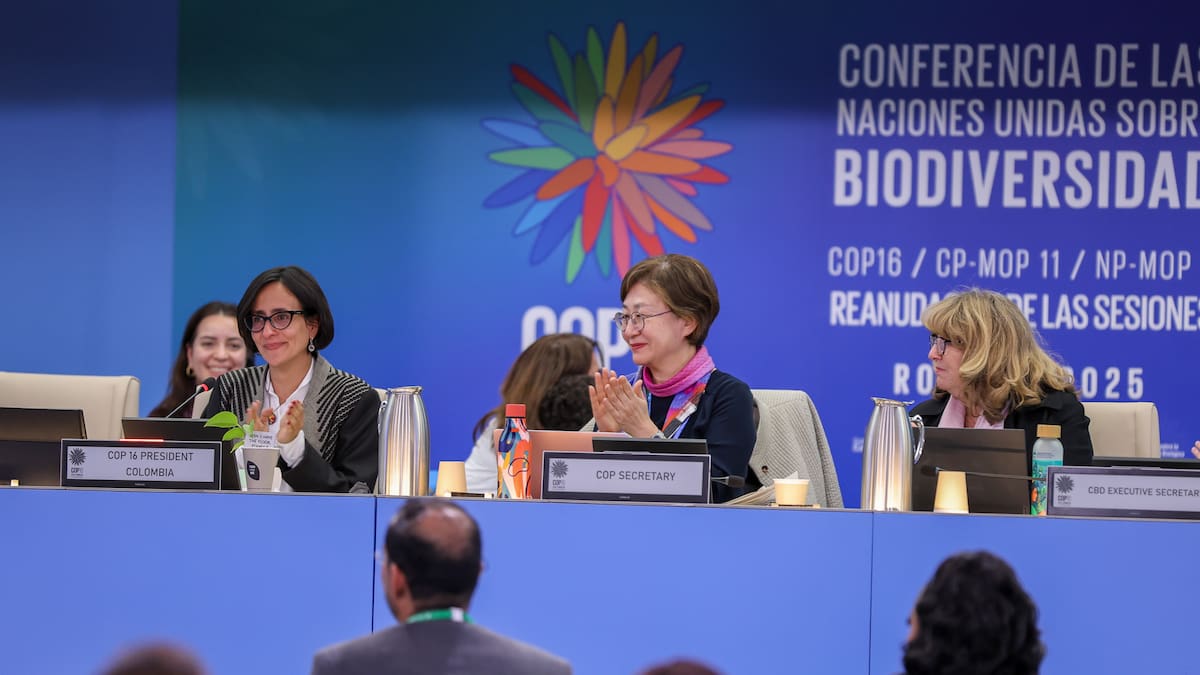 Por irregularidades en la COP16 en el año 2024, investigan 11 hoteles en Cali