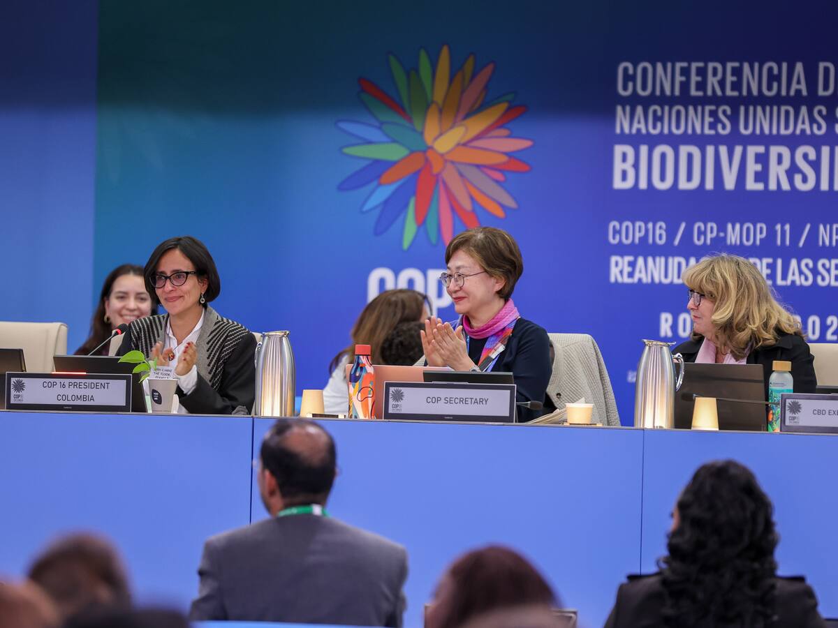 Por irregularidades en la COP16 en el año 2024, investigan 11 hoteles en Cali