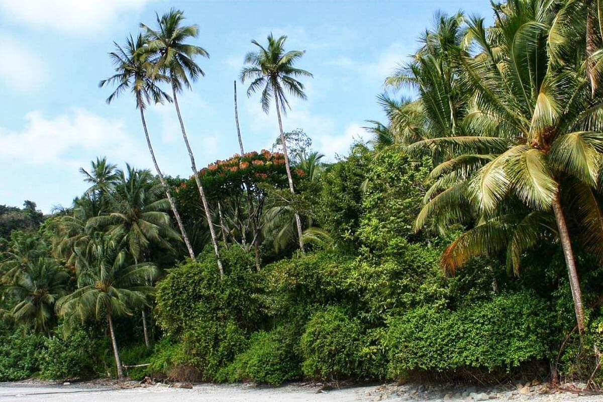 Isla Gorgona, imagen de referencia. Crédito: Parques Naturales.