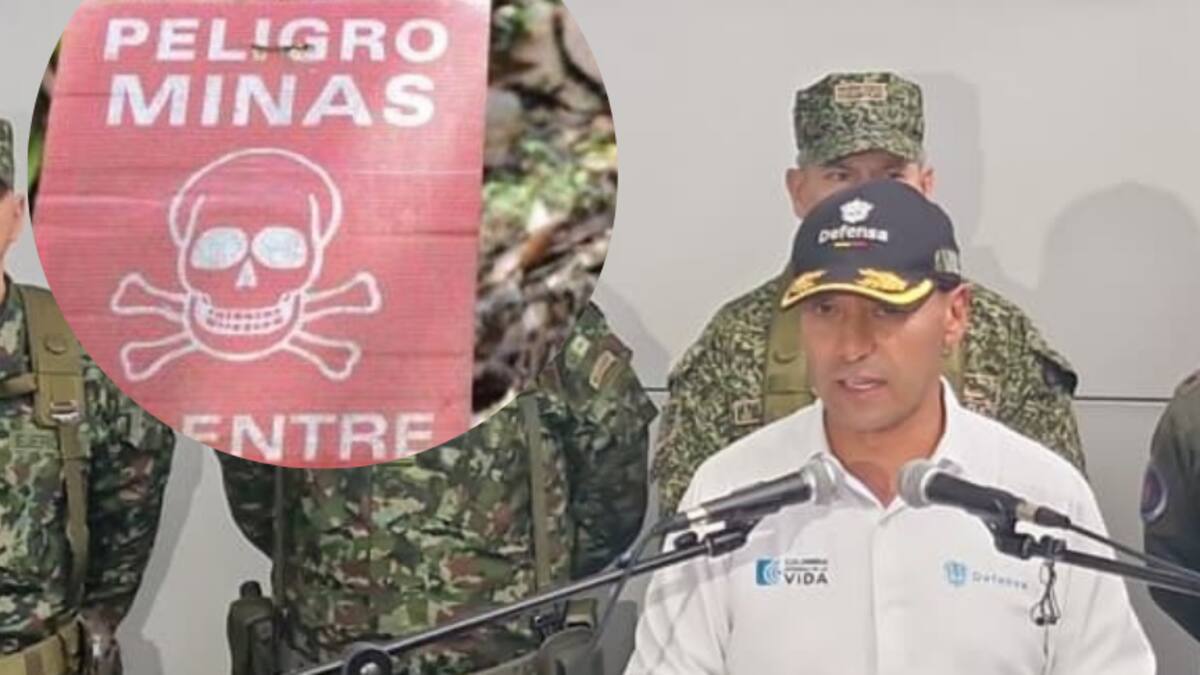 Ministerio de Defensa priorizará cuatro municipios del Nordeste para iniciar un desminado