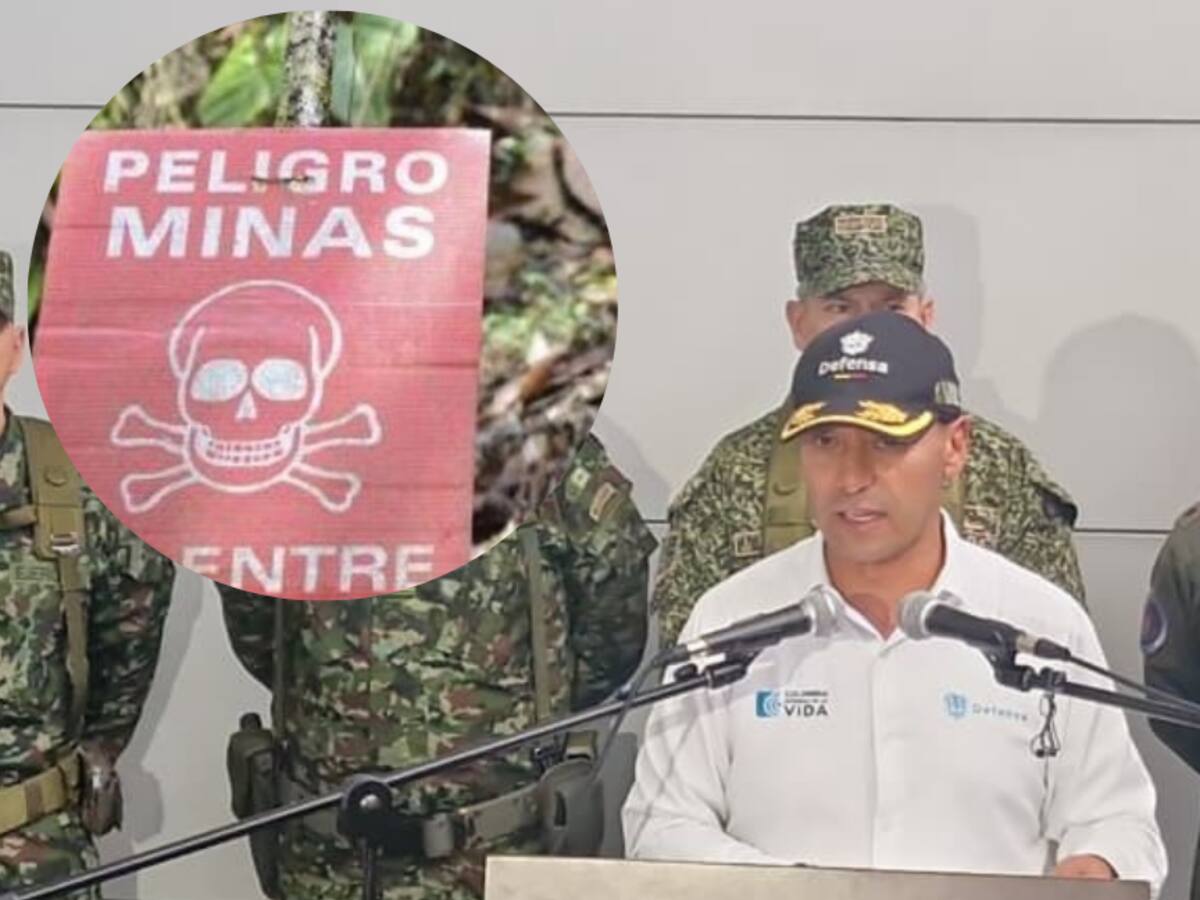 Ministerio de Defensa priorizará cuatro municipios del Nordeste para iniciar un desminado
