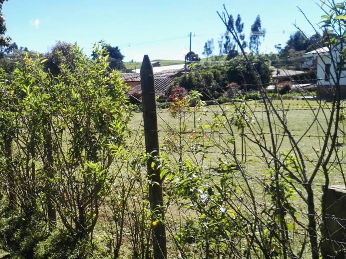 Roban finca donde dormían once policías en Olaya, Antioquia