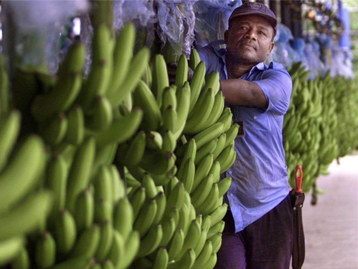 Latinoamérica será el mercado con el crecimiento más lento de 2019: Franziska Ohnsorge