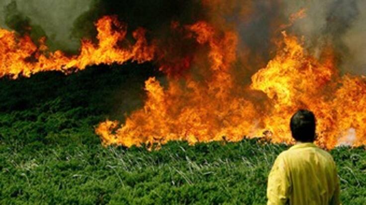 Cerca de nueve mil hectáreas han sido arrasadas por el fuego en Colombia