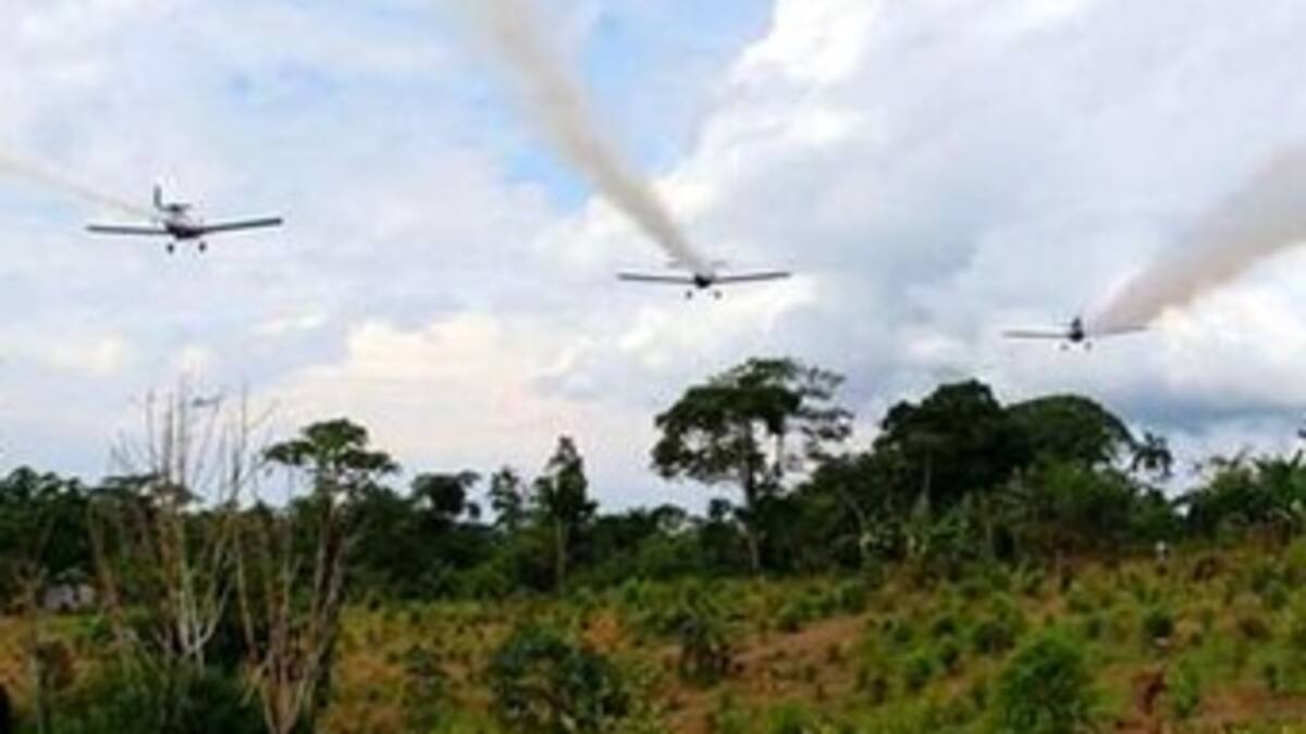 Denuncian aparición de "enfermedades raras" por el Glifosato en Guaviare