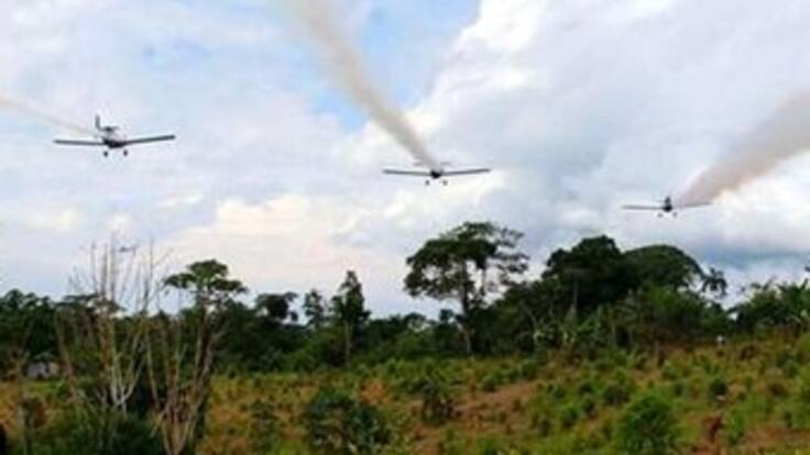 Denuncian aparición de "enfermedades raras" por el Glifosato en Guaviare