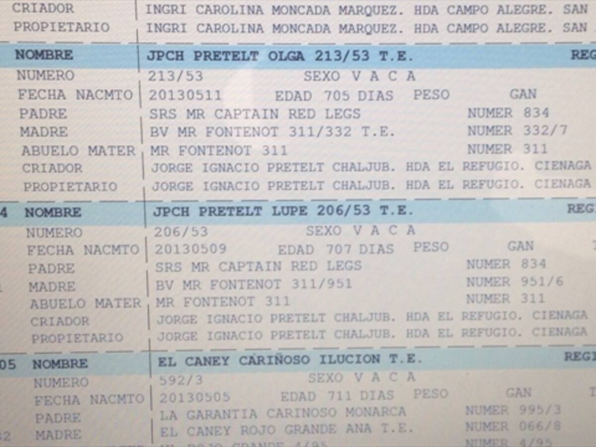 Magistrado Jorge Pretelt exhibirá su ganado en una feria de Bucaramanga