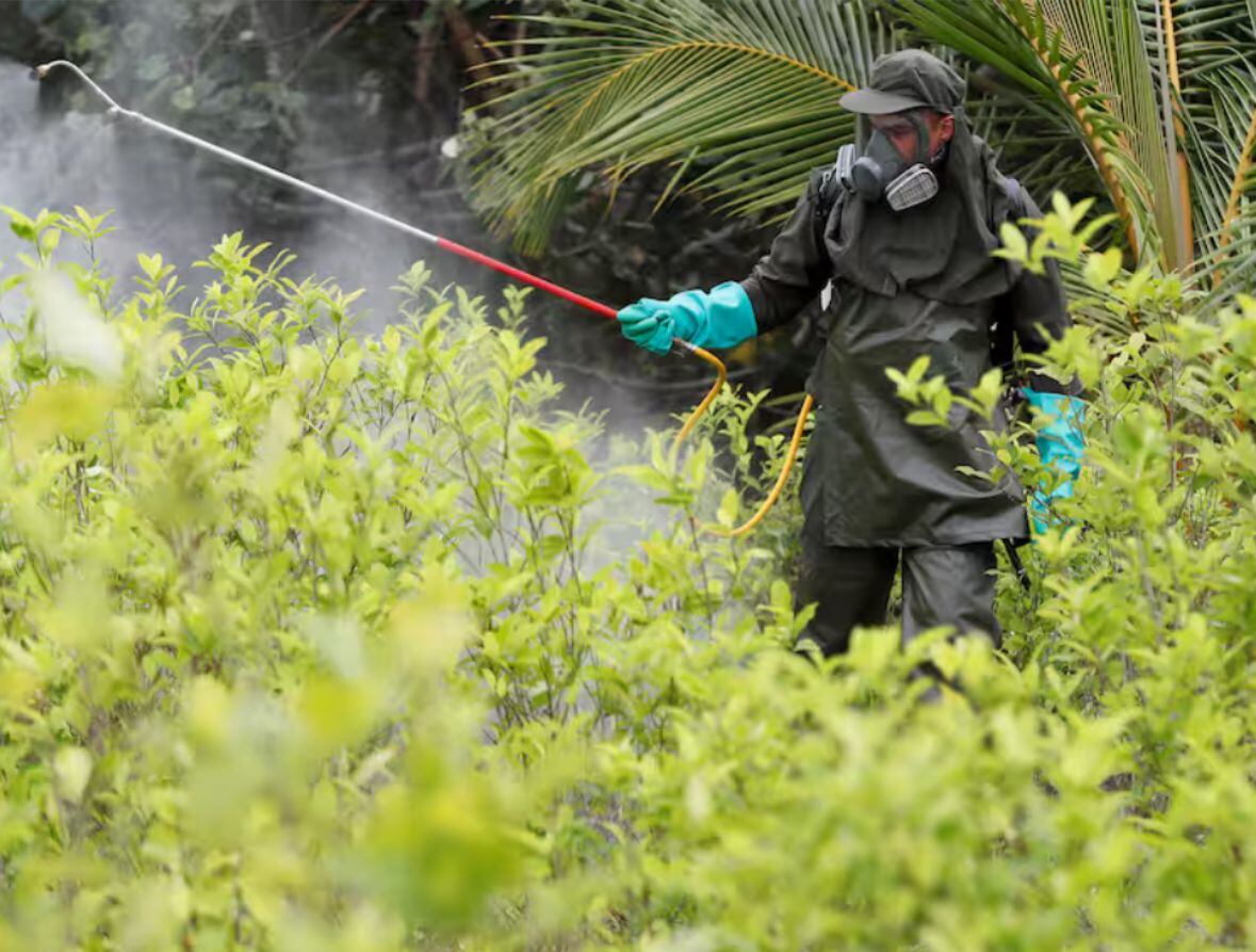 Aspersión de glifosato. Foto: EFE - Carlos Ortega para el Ejército Nacional