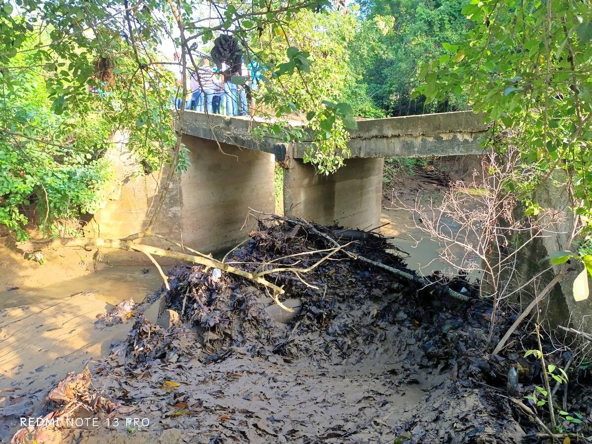 Gobernación de Bolívar busca soluciones tras colapso de puente en San Joaquín