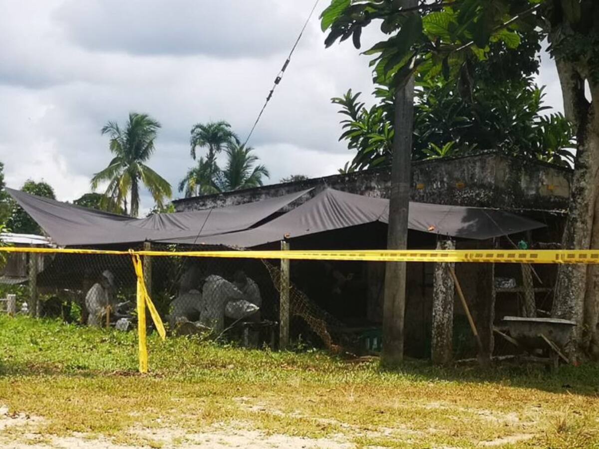 JEP ha recuperado 31 cuerpos en la Unión Peneya, Caquetá