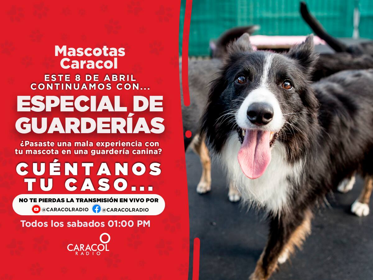 Guarderías caninas en Bogotá