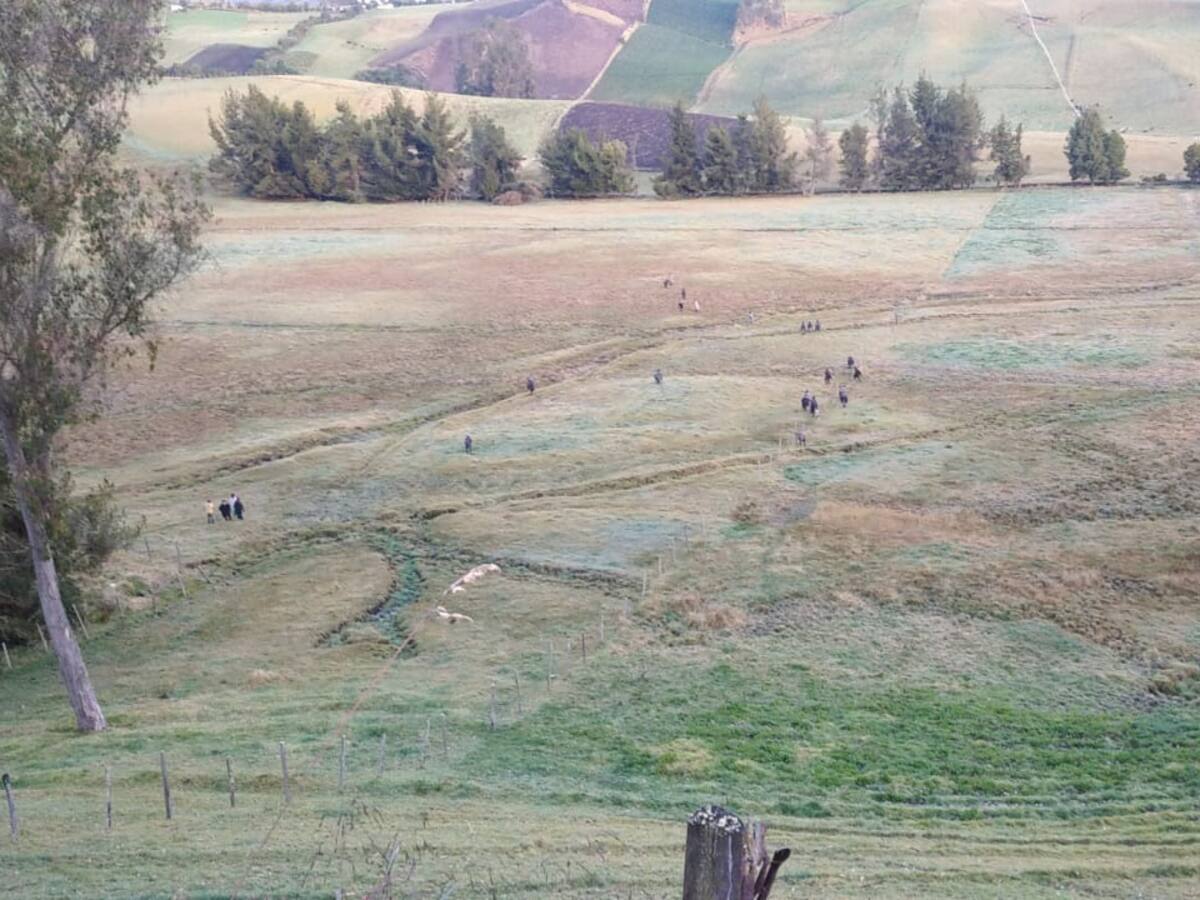 Denuncian invasión de predio en Cumbal
