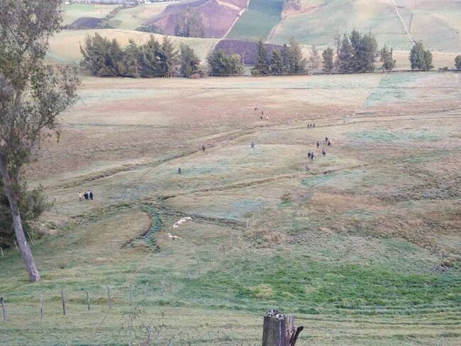 Denuncian invasión de predio en Cumbal