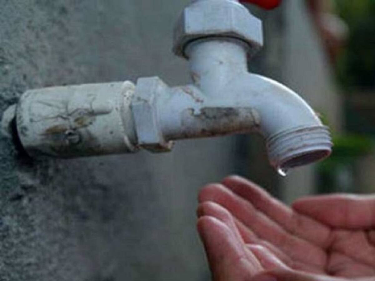 Ganaderos en aprietos por fuerte sequía en la región