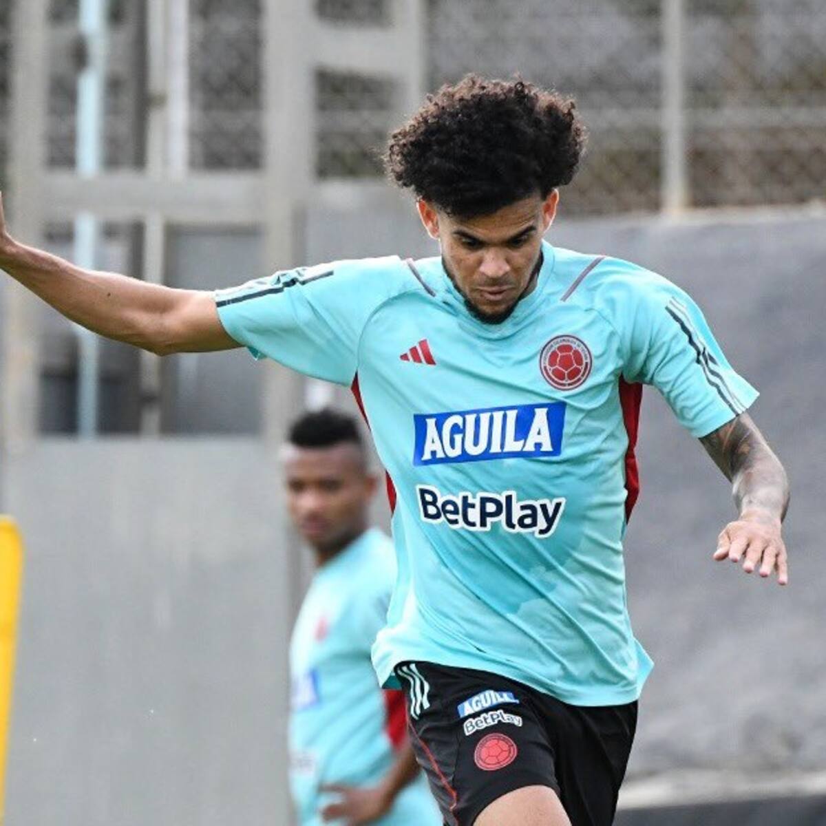 Luis Díaz: “No nos pasa por la cabeza no estar en el Mundial”