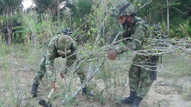 Cultivos Ilícitos. Foto: Colprensa