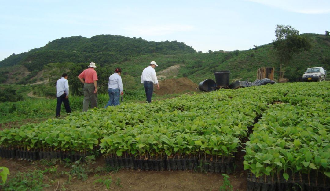 Agricultura saludable y sostenible.