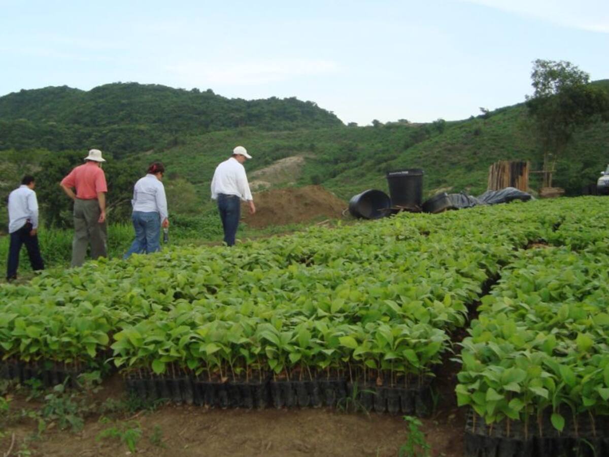 Visión 2050: profundos cambios en el agro para dietas más saludables