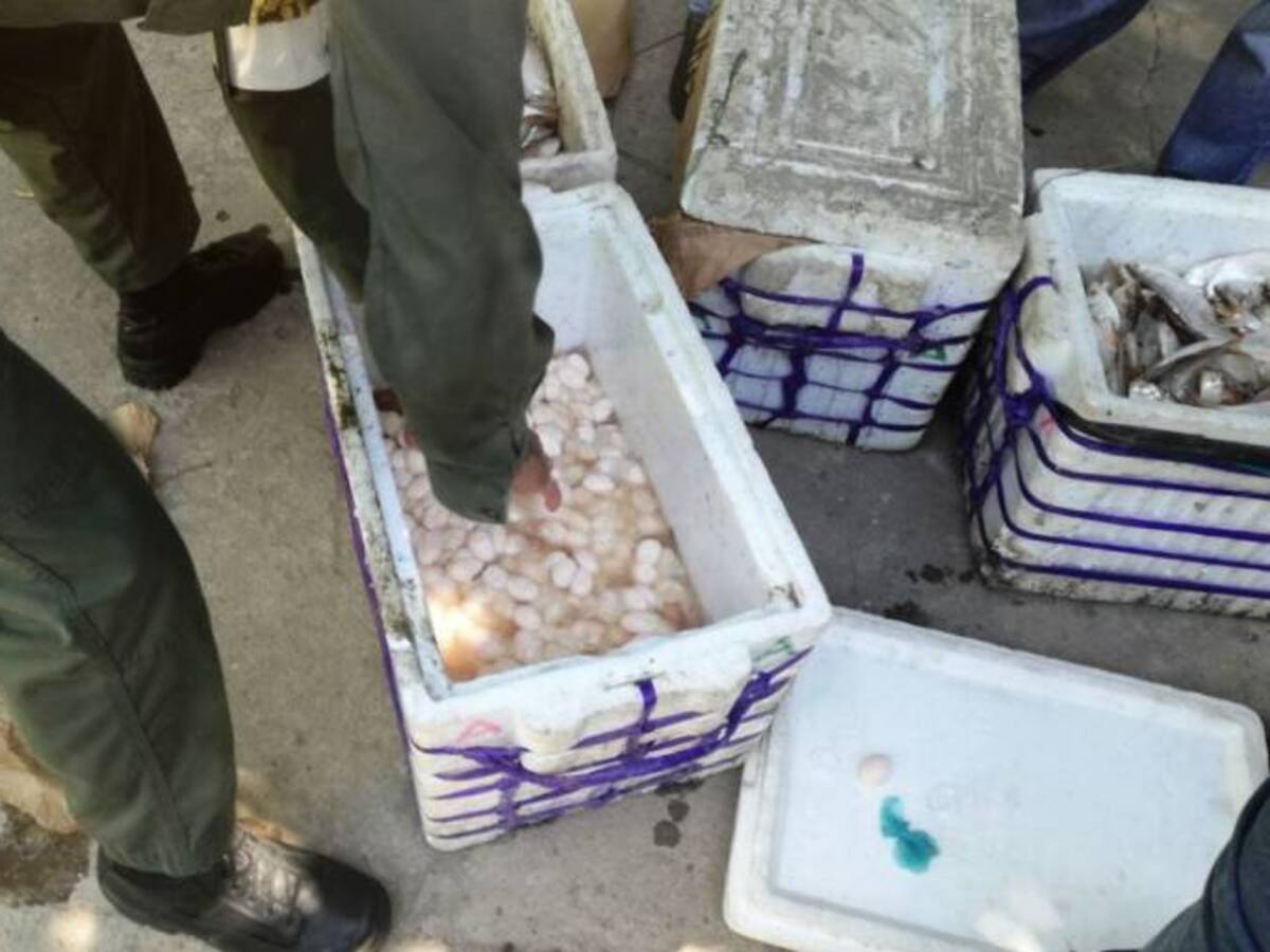 Detectan red de traficantes de animales silvestres en Bolívar