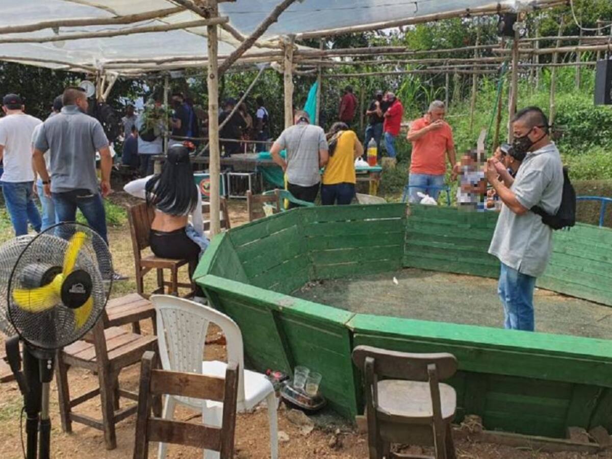 Sancionan a 26 personas que estaban apostando en una gallera de Sabaneta